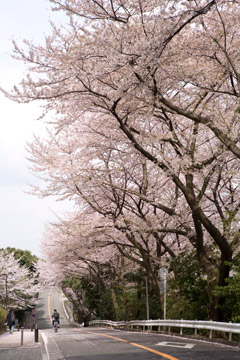 原田　一明
