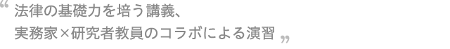 法律の基礎力を培う講義、実務家×研究者教員のコラボによる演習